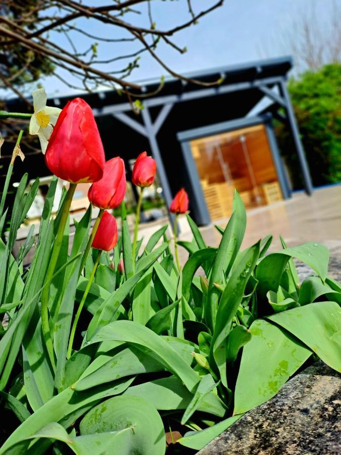 Fuege Villa Luxury & Wellness Balatonfüred Eksteriør billede